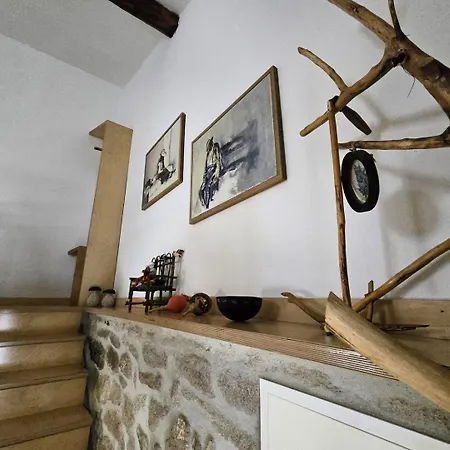 게스트하우스 Beautiful In The Countryside Sernancelhe